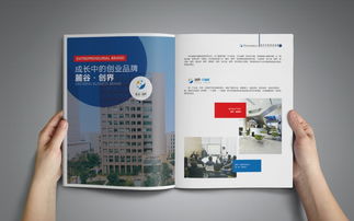 長沙高新區 創新驅動與產業匯聚的招商圖鑒